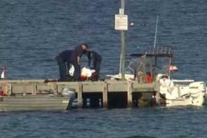 В Австралии акула убила мужчину на глазах дочери 