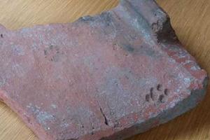 Археологи обнаружили отпечаток кошачьей лапы, которой 2 тысячи лет