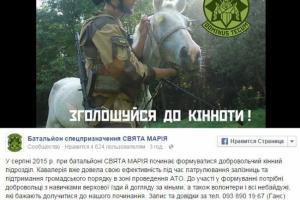 В украинской армии появится кавалерия