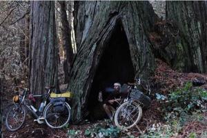 35-летний американец полгода работает, а полгода путешествует на 10 долларов в день