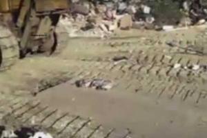 Маразм крепчает: в России целый день давили тушки трех санкционных гусей