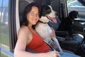 Голландка усыпила своего мужа-кота и выходит замуж за собаку