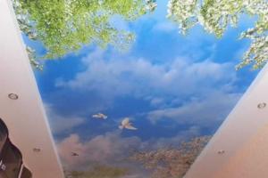 Натяжной потолок с фотопечатью