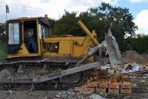 Россиянам предлагают жаловаться на санкционные продукты, а они подписывают петицию против уничтожения