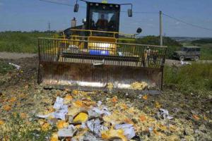 Активисты Петербурга назвали уничтожение продуктов пренебрежением к подвигу блокадного Ленинграда