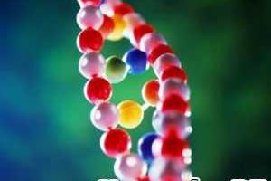 Ученые обнаружили новые факты о гормонах