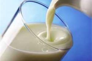 В России вся отечественная "молочка" вредна для здоровья