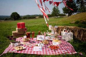 Наборы для пикника ТМ Camping: когда отдых – настоящее удовольствие