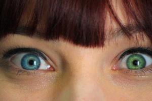 Ученые выяснили, что человек по-разному воспринимает цвета зимой и летом