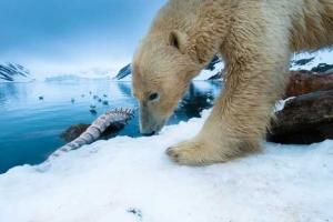 Климатолог: Таяние вечной мерзлоты будет стоить человечеству около 166 триллионов долларов 