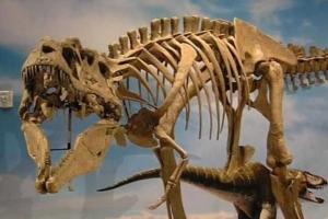 На Аляске палеонтологи обнаружили новый подвид динозавров