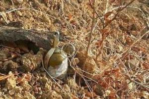 В Троицке военные ВСУ подорвались на "растяжке": есть погибшие