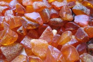 Янтарные войны продолжаются: задержано 80 копателей, перекрывших трассу на Варшаву