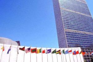 Миссия ООН назвала цифры пострадавших на территории Донбасса