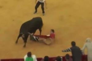 Во время корриды в Испании бык оставил мужчину не только без штанов, но и без нижнего белья
