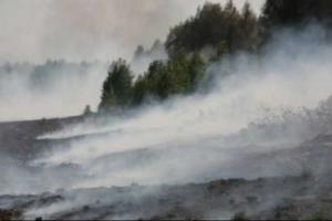 ГСЧС: В Киевской области продолжается тушение более 100 тлеющих торфяников 