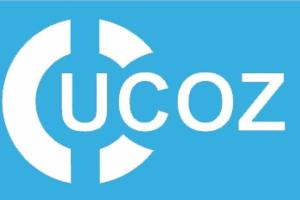 Адвокаты ЮКОСа должны предоставить списки активов, на которые должен быть наложен арест, до 1 декабря, - Пономарь
