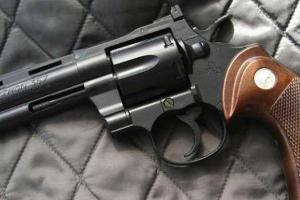 В Чикаго шестилетний мальчик застрелил своего брата