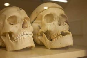 Ученые выяснили, что первобытные люди спали меньше, чем современные