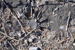 В сети появились фото того, что осталось от населенного пункта Никишино