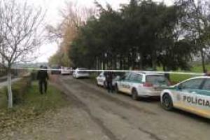 В сети опубликованы первые фото с места падения вертолета Ми-2