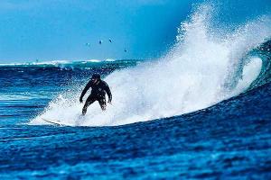 Тимати на морском курорте атаковала хищная рыба