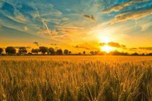 Пономарь убежден, что Россия окончательно потеряла Украину