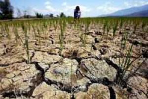 В Крыму начался дефицит пресной воды