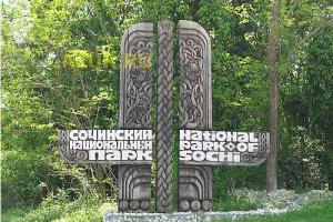 Экологи бьют тревогу: Сочинский национальный парк хотят уничтожить