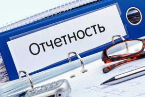 Киевская власть планирует ежегодно подавать отчеты об использовании бюджетных средств