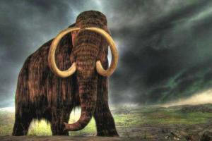 Ученые утверждают, что через 10 лет по Земле будут ходить мамонты