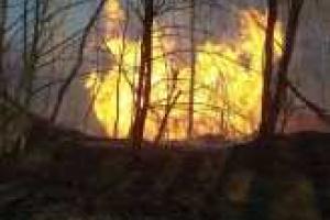 Появились первые подробности взрыва на газопроводе "Союз"