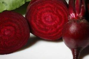 Топ-10 продуктов для хорошего здоровья зимой