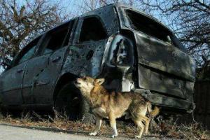 Эксперт объяснил, чем закончится для Украины полная блокада Крыма и Донбасса
