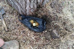 В «Серой зоне» правоохранители изъяли из схрона 17 тротиловых шашек