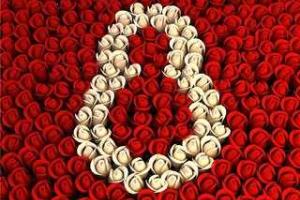 Какие цветы подарить девушке на 8 марта