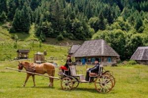 Места в Закарпатье, которые стоит посетить