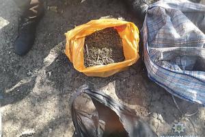 У жителя Николаевской области полиция изъяла марихуану на 100 тысяч гривен