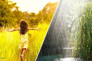 Жара и дожди: синоптики обещают непредсказуемую погоду в Украине на 25 августа