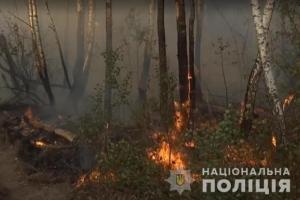 Отомстила работодателям: Полиция задержала подозреваемую в поджоге леса в Чернобыльской зоне 