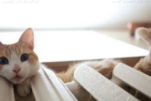 В Киеве официально стартовал отопительный сезон