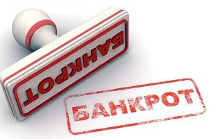 "Луганское энергетическое объединение" инициировало собственное банкротство