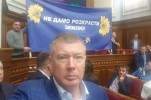"Продажа земли - это альтернатива НАТО": Ларин не одобрил закон о земельной реформе