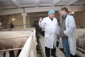 Беловодский племзавод - один из лучших в Украине, - Гайдай