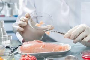 ЕС приостановил импорт мяса птицы из Украины из-за птичьего гриппа