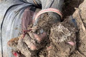 В ОРДЛО створили понад 200 в'язниць для утримання полонених українців, - Венедіктова