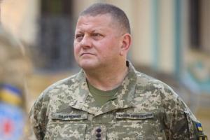 "К сожалению, герои умирают": Залужный обратился к народу в День памяти защитников Украины