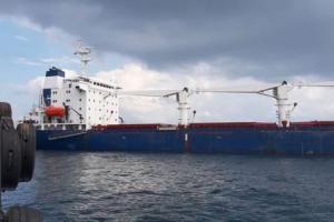 "Зерновой коридор": украинское судно Razoni прошло инспекцию в Стамбуле