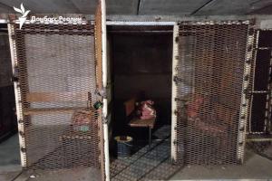 "Людей тримали у металевих клітинах": у мережі показали катувальні в Куп'янському районі