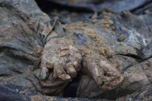 В Ізюмі ексгумували тіло чоловіка з відрізаною мошонкою